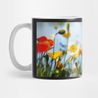 Spring in my garden Mug